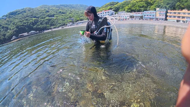 伊豆・大瀬崎でのダイビング講習：浅い海で器材を着けて練習するダイバー
