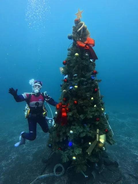 水中のクリスマスツリーを囲むダイバー