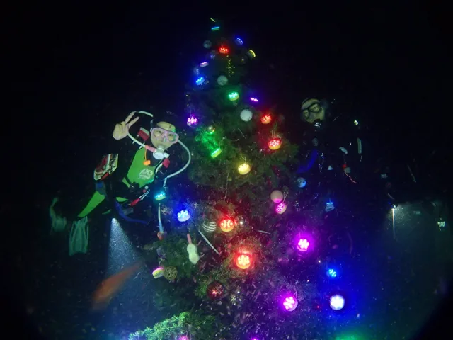 水中のクリスマスツリー付近で潜るダイバー