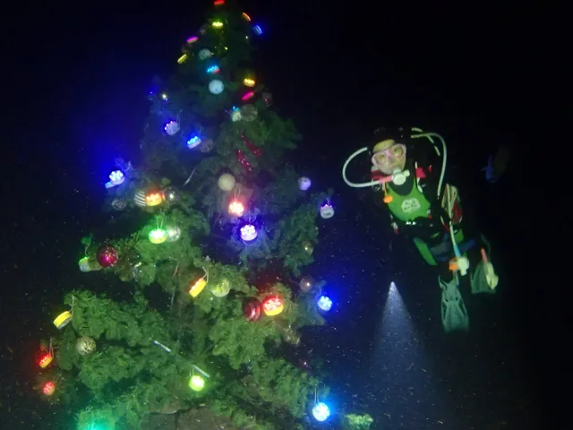 水中のクリスマスツリー付近で潜るダイバー