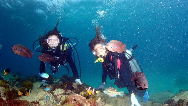 海神丸でのダイビングの記録写真