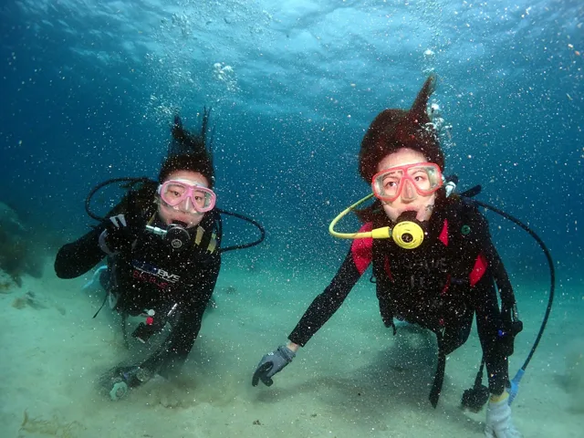 海神丸でのダイビングの記録写真