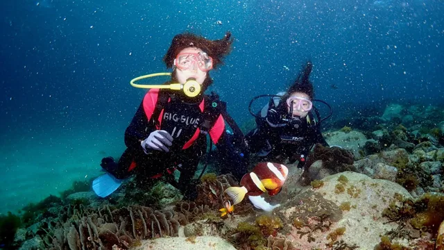 海神丸でのダイビングの記録写真