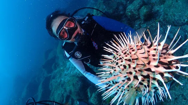 海神丸でのダイビングの記録写真