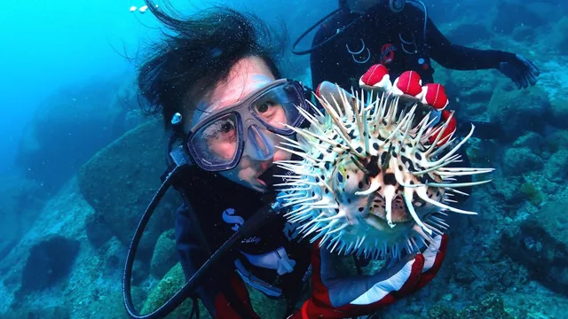 海神丸でのダイビングの記録写真