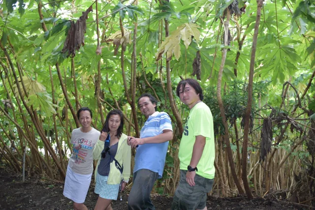 4人以上の参加者の集合写真