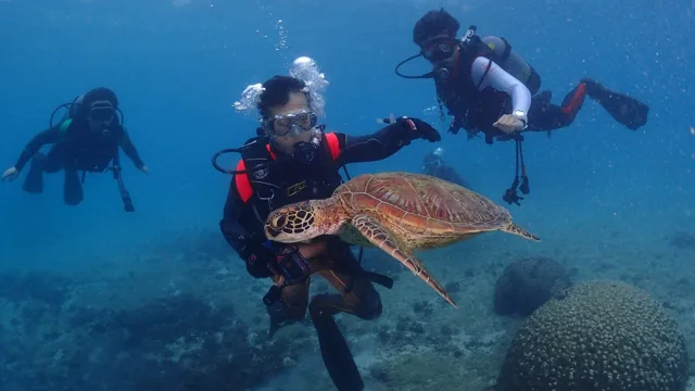 ダイビングの記録写真