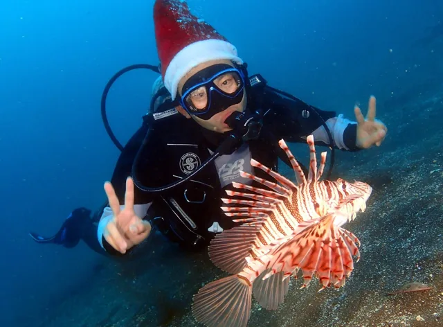 伊豆・大瀬崎でのダイビング：水中のクリスマスツリー付近で潜るダイバー