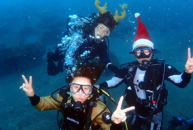 伊豆・大瀬崎でのダイビング：水中のクリスマスツリー付近で潜るダイバー