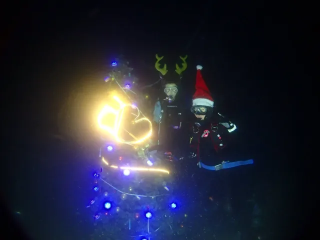 水中のクリスマスツリー付近で潜るダイバー