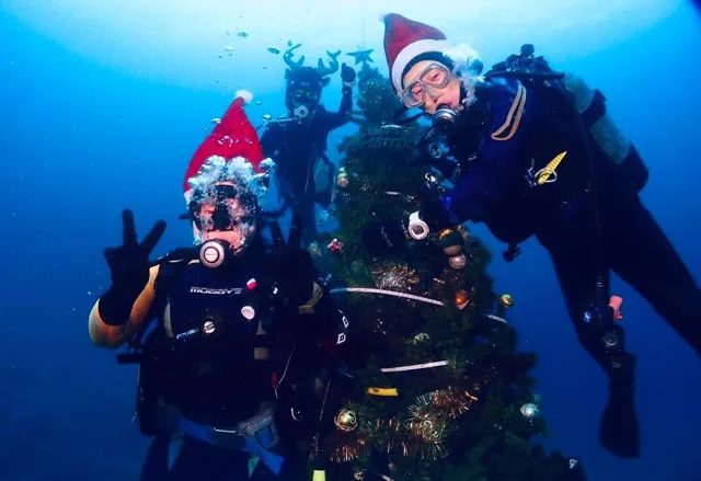 伊豆・大瀬崎でのダイビング:水中のクリスマスツリー付近で潜るダイバー