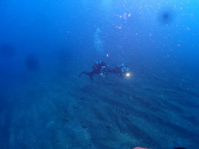 AQUA WAVE Diving School アクア･ウェーブでのダイビングの記録写真