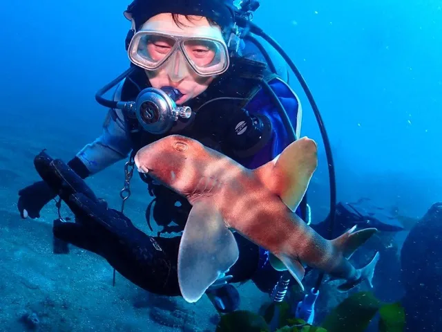 AQUA WAVE Diving School アクア･ウェーブでのダイビングの記録写真