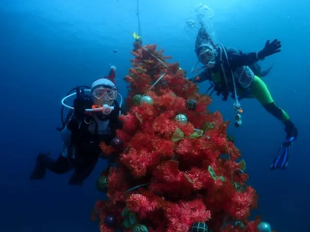 伊豆・大瀬崎でのダイビング：クリスマスの衣装を着けたダイバー