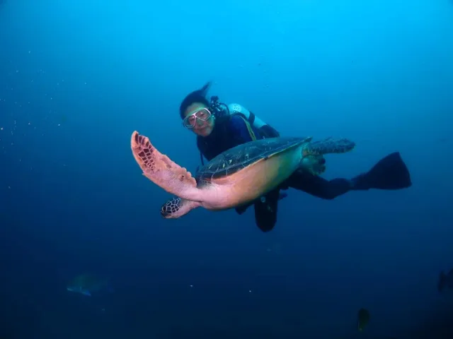 水中で泳ぐウミガメとダイバー