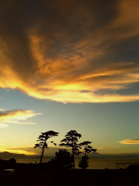 海辺の松と山の向こうに広がる夕焼け空