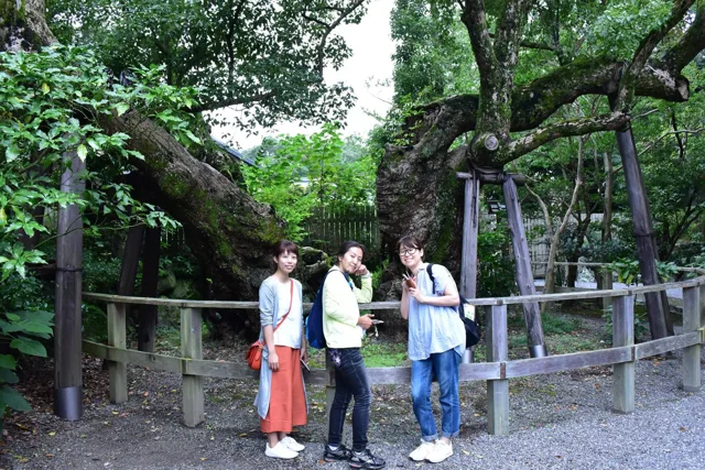 神社名・撮影場所未確認（越前ツアー中の参拝）での越前ツアーの参拝中、大きな木のそばに集まる参加者