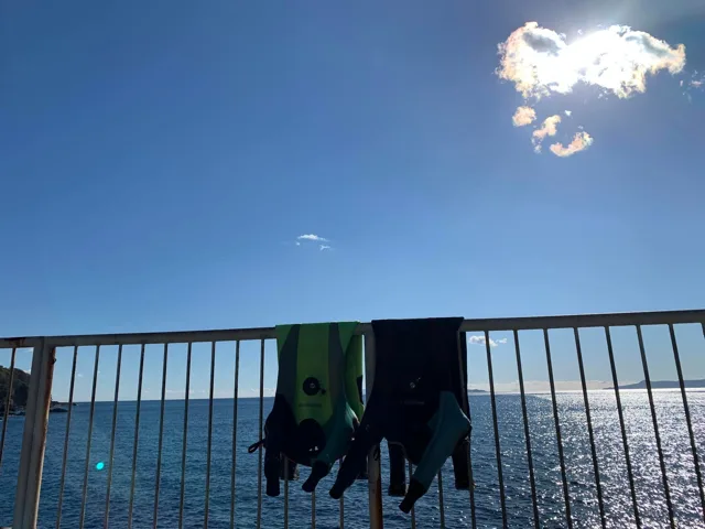 ダイビング後と推定される、海辺の手すりに干したフィン