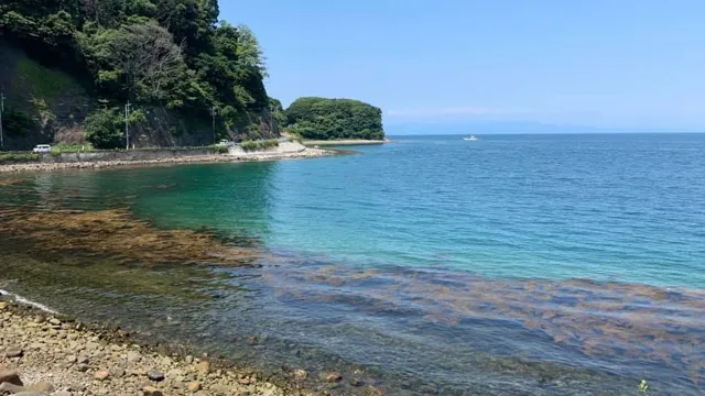 伊豆・大瀬崎でのダイビング:伊豆・大瀬崎の透明な浅瀬と海岸