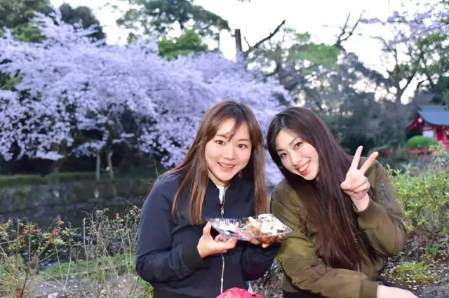 静岡県三島市・三嶋大社での三嶋大社の桜の下で食事を楽しむ仲間（花見・観光の記録）