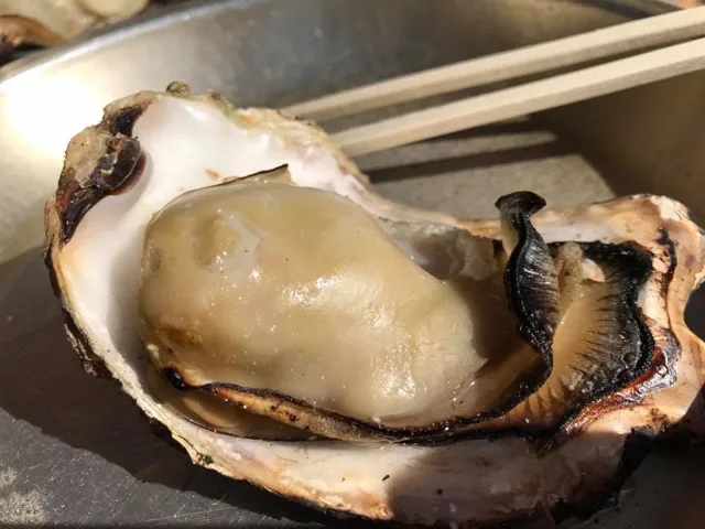 小田原市・江之浦ダイビングサービスでの江之浦ダイビングサービスでの食事に並んだ牡蠣