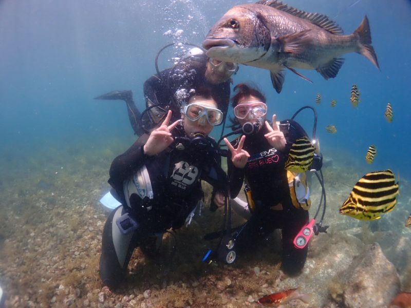親子体験ダイビング大瀬崎の海