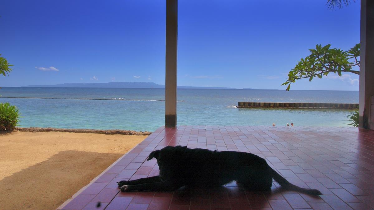 バリ島の海と空壁紙・無料・高画質ダウンロード